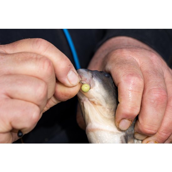 Wafter Sonubaits - Spike'um Wafter Meaty Mussel 8mm